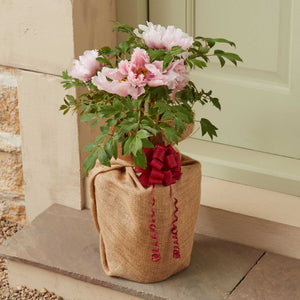 The Peony Gift Gift Option