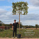Pleached Photinia Tree | Photinia x fraseri 'Red Robin' Ornamental Trees