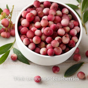 Unusual Berry Collection Soft Fruit