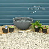 Pond in a Pot Pond Plants