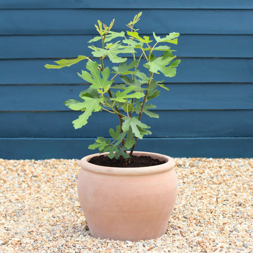 Handmade Frost-Resistant Terracotta Pot Add ons