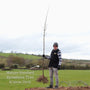 Sycamore Tree | Acer pseudoplatanus Ornamental Trees