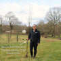 Single Stem Tibetan Cherry Tree | Prunus Serrula Ornamental Trees