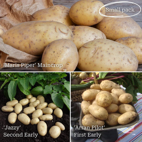 Top Performing Seed Potato Pack | Growers' Choice Vegetables