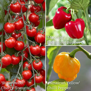 Ultimate Grafted Vegetables | Grower's Choice Vegetables