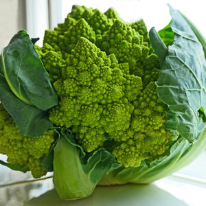 Romanesco' Cauliflower Plug Plants Vegetable Plants