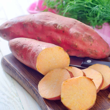 Sweet Potato 'Erato White' Plant Vegetable Plants