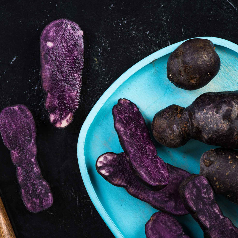Sweet Potato 'Erato Violet' Plant Vegetable Plants