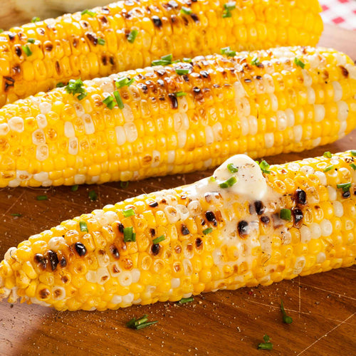 Sweetcorn 'Earlibird' Extra Sweet Plug Plants Vegetable Plants
