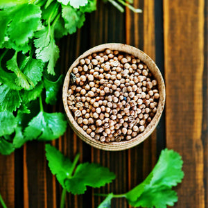 Coriander Plant Vegetable Plants