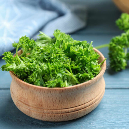 Curly Parsley Plant Vegetable Plants