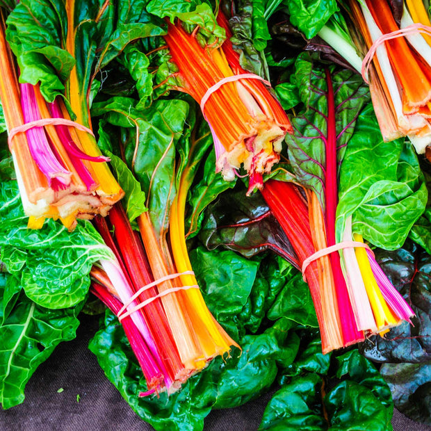 'Bright Lights' Swiss Chard Plants Vegetables