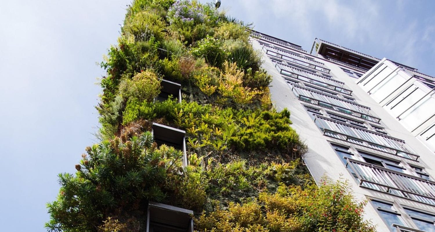 Vertical Gardening: Making the Most of Limited Space