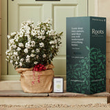 The Viburnum Gift Gift Option