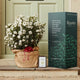The Viburnum Gift Gift Option