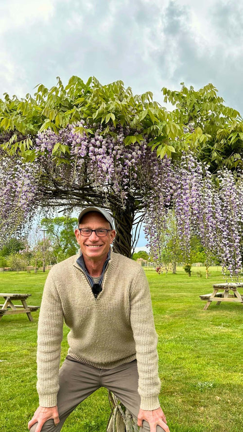 Is an umbrella the best way to grow wisteria?