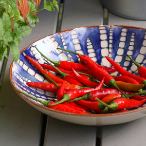 'Apache' Chilli Pepper Plants Vegetables