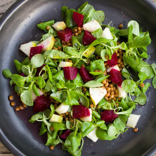 'Darko' Beetroot Plants Vegetables