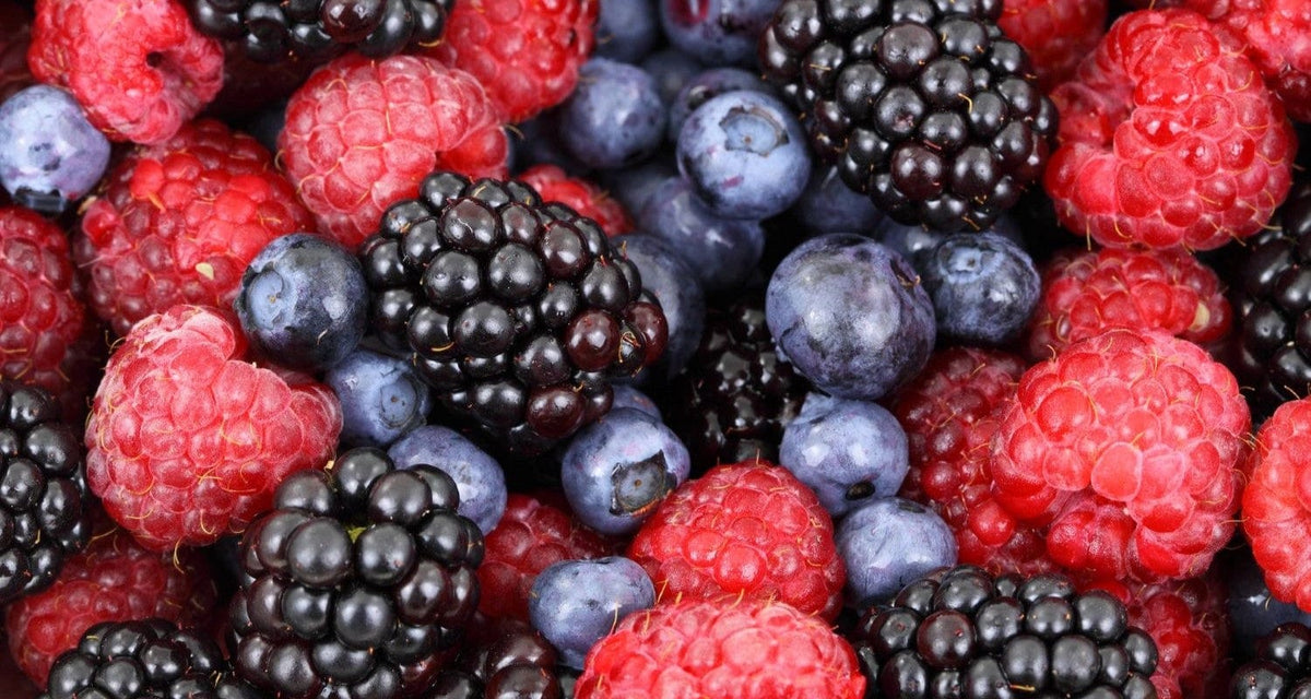 The Best Soft Fruit Plants (as Chosen by Our Growers) Roots Plants