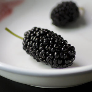 Black Mulberry Plant | Morus nigra Soft Fruit