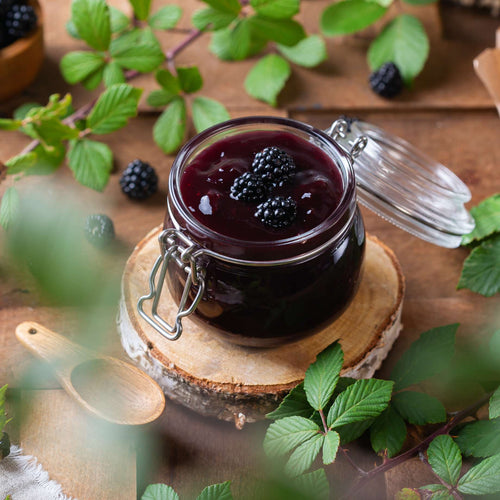 Thornless Blackberry Plant | Rubus fruticosus 'Waldo' Soft Fruit