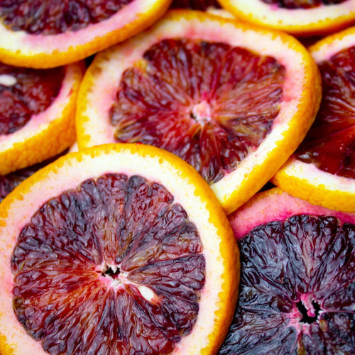 Rainbow Orange Tree | Patio 'Arcobal' Orange Trained Fruit Trees