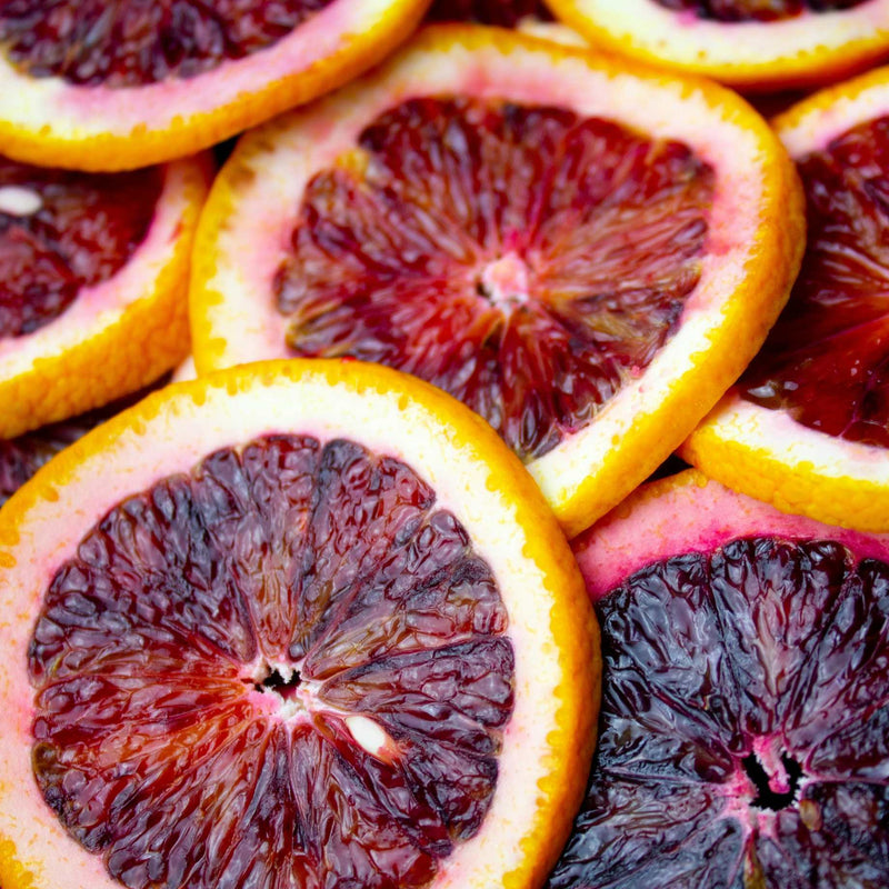 Rainbow Orange Tree | Patio 'Arcobal' Orange Trained Fruit Trees