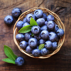 'Northland' Blueberry Bush Soft Fruit