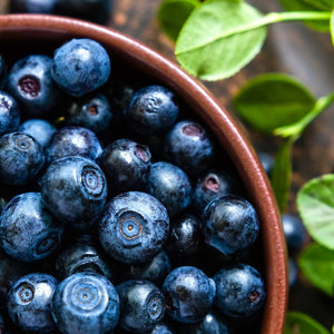 'Goldtraube' Blueberry Bush Soft Fruit