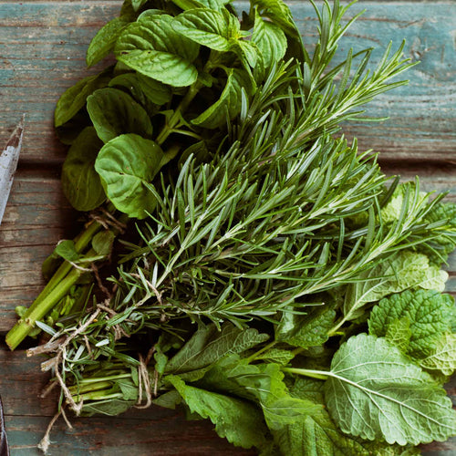 Chef's Best Herb Collection Vegetable Plants