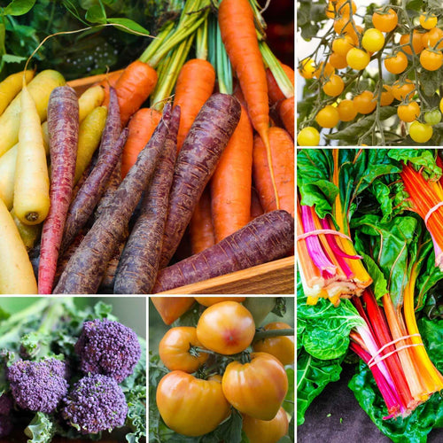 Colourful Vegetable Plants Vegetables