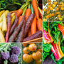 Colourful Vegetable Plants Vegetables