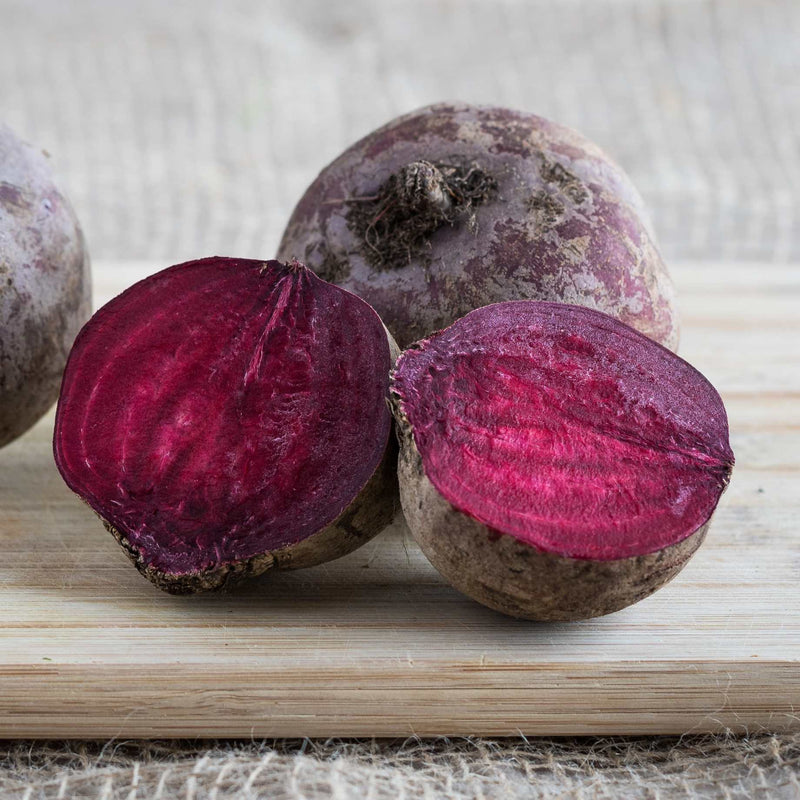'Darko' Beetroot Plants Vegetables