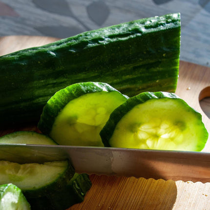 'F1 Femspot' Cucumber Plants Vegetables