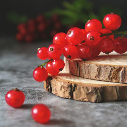 'Laxton's Number One' Redcurrant Plant Soft Fruit