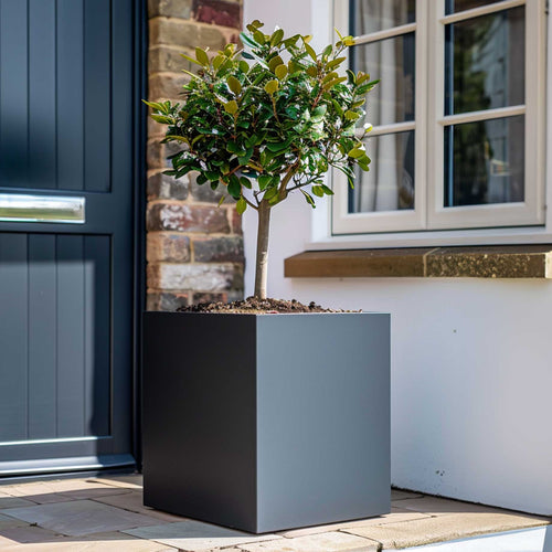 Premium Matte Grey Square Planter | Galvanised Zinc Add ons