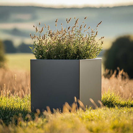Premium Matte Grey Square Planter | Galvanised Zinc Add ons