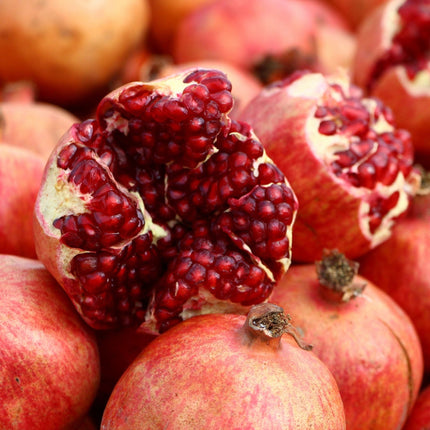 'Provence' Pomegranate Bush Soft Fruit