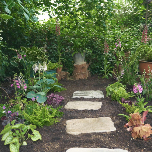 Perfect Plants for Shade | Woodland Wonderland Perennial Bedding