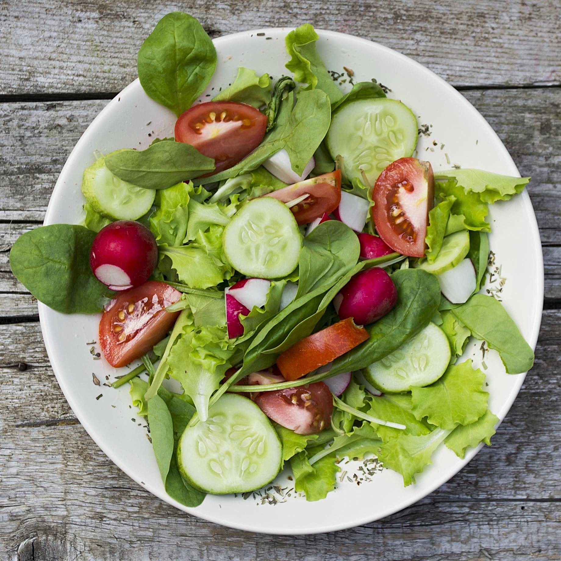 Quick Growing Salad Plant Collection