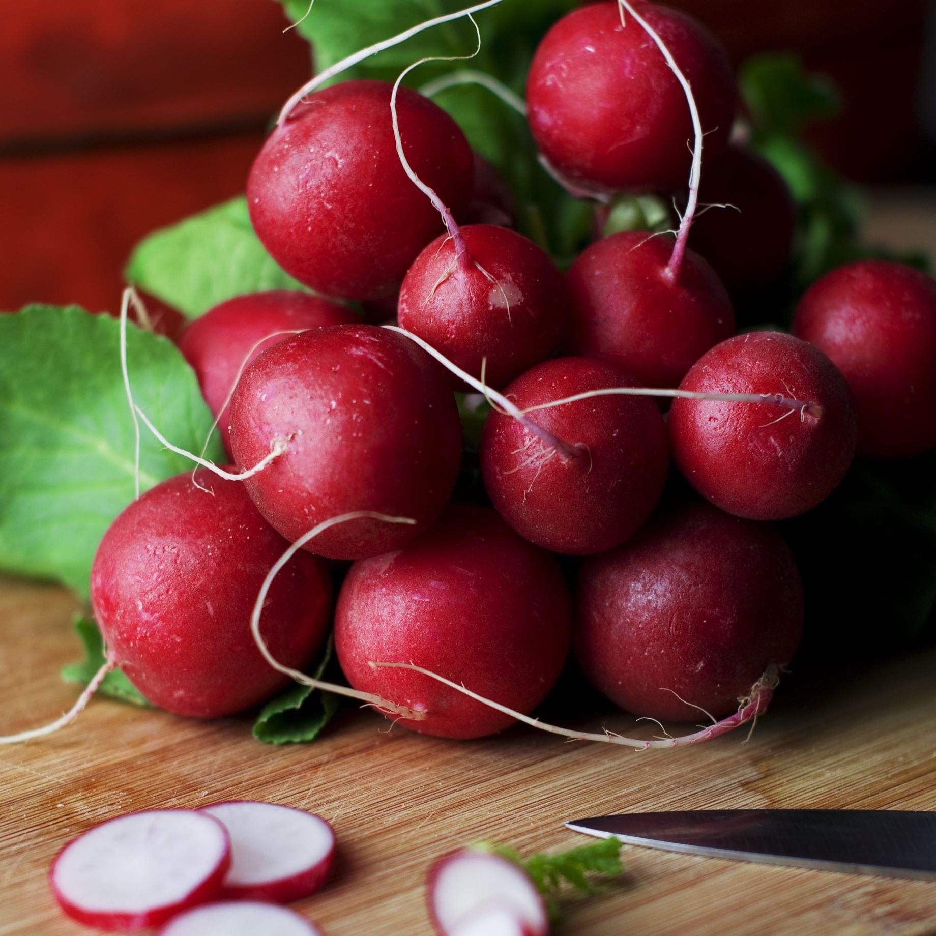 'Cherry Belle' Radish Plants – Roots Plants