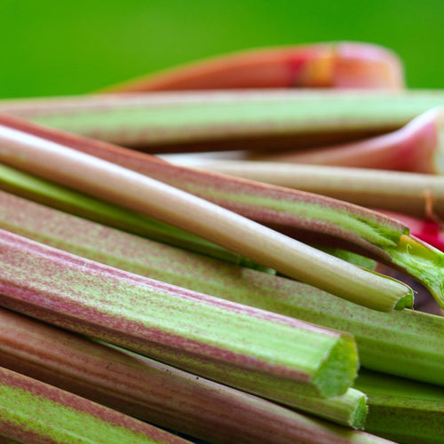 'Victoria' Rhubarb Plant Soft Fruit