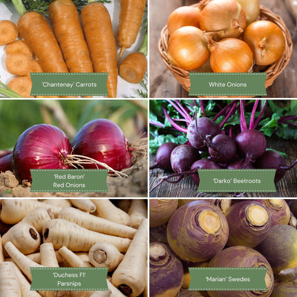Root Vegetable Collection Vegetables