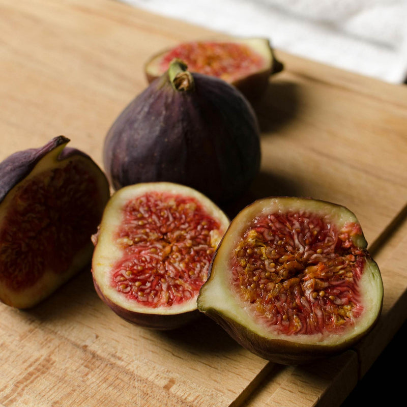 'Madeleine Des Deux Saisons' Fig Tree Mediterranean Fruit Trees