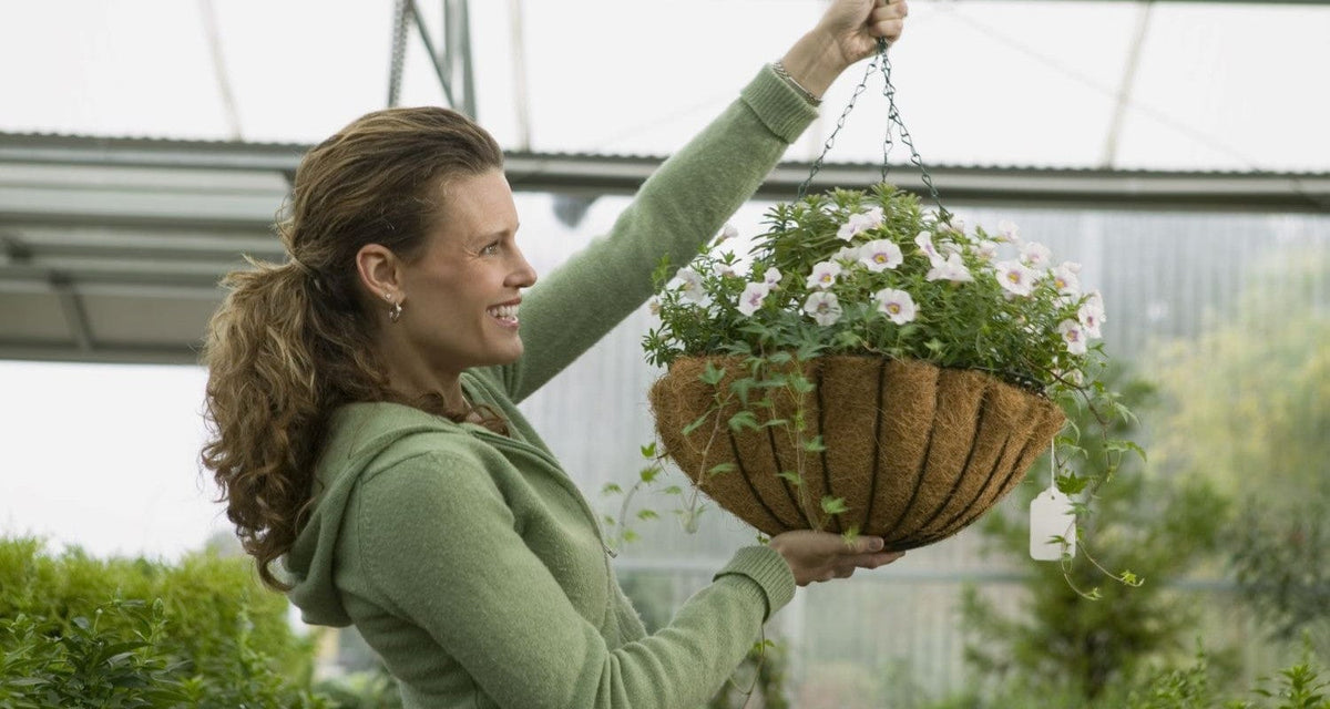 Winter Hanging Baskets Ideas, Plants & Tips Roots Plants