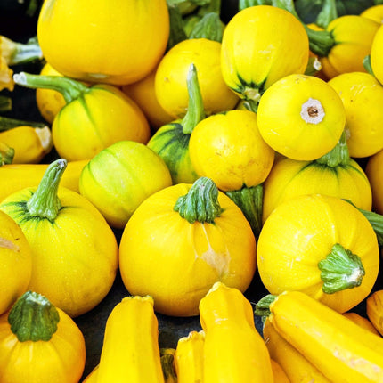 Gourmet Courgette Collection Vegetables