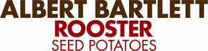 'Rooster' Maincrop Seed Potatoes Vegetables