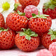 'Framberry' Strawberry Plants Soft Fruit