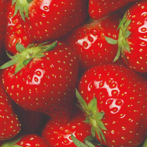 All Season Strawberry Plants Collection | 3x 10cm Pots Soft Fruit