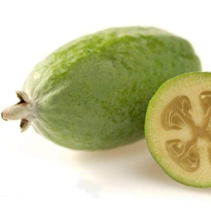 Pineapple Guava Plant | Feijoa Sellowiana Soft Fruit
